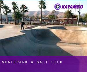 Skatepark a Salt Lick