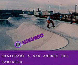 Skatepark a San Andrés del Rabanedo
