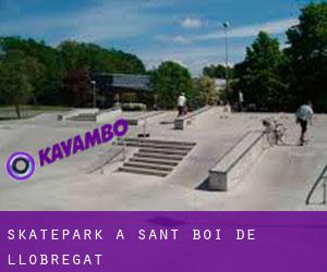 Skatepark a Sant Boi de Llobregat