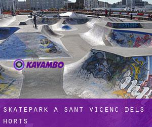 Skatepark a Sant Vicenç dels Horts