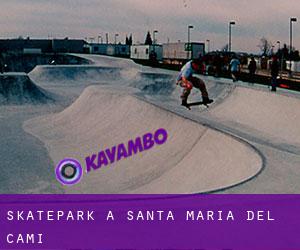 Skatepark a Santa Maria del Camí