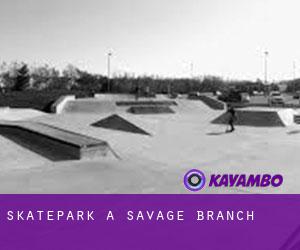Skatepark a Savage Branch
