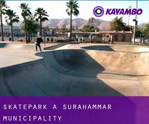 Skatepark a Surahammar Municipality