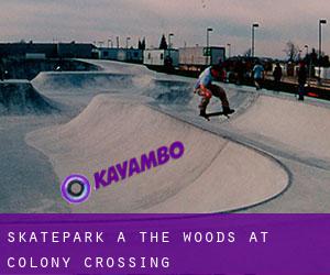 Skatepark a The Woods at Colony Crossing