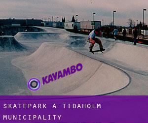 Skatepark a Tidaholm Municipality