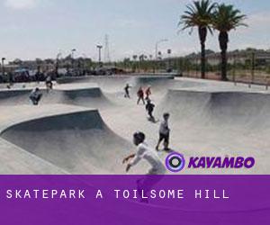 Skatepark a Toilsome Hill