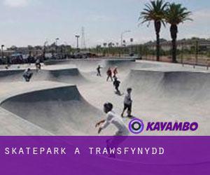 Skatepark a Trawsfynydd