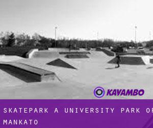 Skatepark a University Park of Mankato