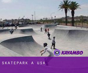 Skatepark a Usk
