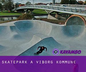 Skatepark a Viborg Kommune