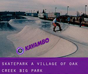 Skatepark a Village of Oak Creek (Big Park)