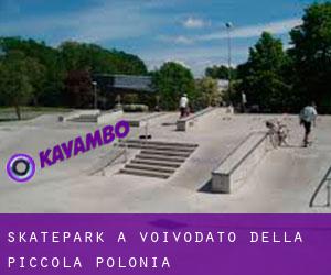 Skatepark a Voivodato della Piccola Polonia