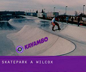 Skatepark a Wilcox