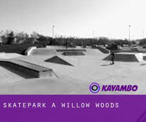 Skatepark a Willow Woods
