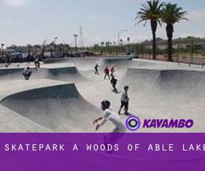 Skatepark a Woods of Able Lake