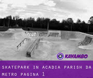 Skatepark in Acadia Parish da metro - pagina 1