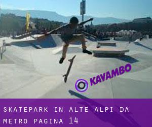 Skatepark in Alte Alpi da metro - pagina 14