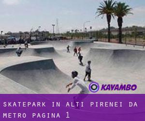 Skatepark in Alti Pirenei da metro - pagina 1