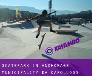 Skatepark in Anchorage Municipality da capoluogo - pagina 1