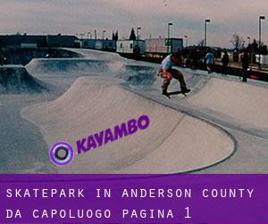 Skatepark in Anderson County da capoluogo - pagina 1