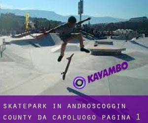Skatepark in Androscoggin County da capoluogo - pagina 1
