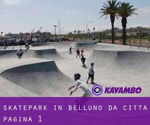 Skatepark in Belluno da città - pagina 1