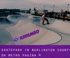 Skatepark in Burlington County da metro - pagina 4