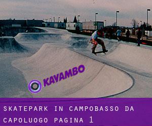 Skatepark in Campobasso da capoluogo - pagina 1