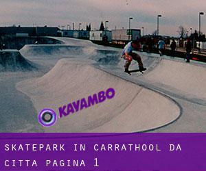 Skatepark in Carrathool da città - pagina 1