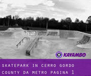 Skatepark in Cerro Gordo County da metro - pagina 1