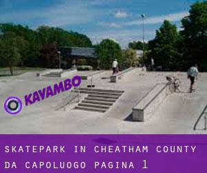 Skatepark in Cheatham County da capoluogo - pagina 1