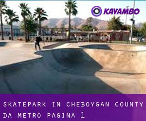 Skatepark in Cheboygan County da metro - pagina 1