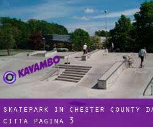 Skatepark in Chester County da città - pagina 3
