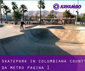 Skatepark in Columbiana County da metro - pagina 1