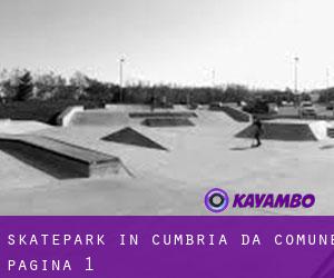 Skatepark in Cumbria da comune - pagina 1