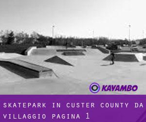 Skatepark in Custer County da villaggio - pagina 1