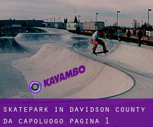 Skatepark in Davidson County da capoluogo - pagina 1