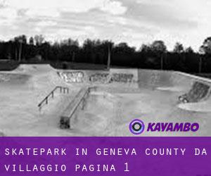 Skatepark in Geneva County da villaggio - pagina 1