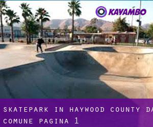 Skatepark in Haywood County da comune - pagina 1