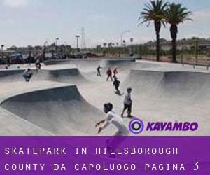 Skatepark in Hillsborough County da capoluogo - pagina 3
