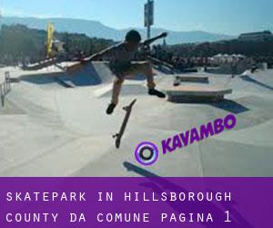 Skatepark in Hillsborough County da comune - pagina 1