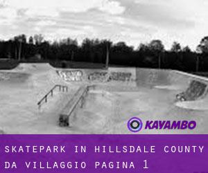Skatepark in Hillsdale County da villaggio - pagina 1