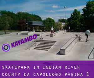 Skatepark in Indian River County da capoluogo - pagina 1