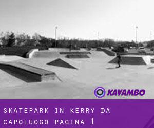 Skatepark in Kerry da capoluogo - pagina 1
