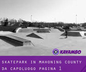Skatepark in Mahoning County da capoluogo - pagina 1