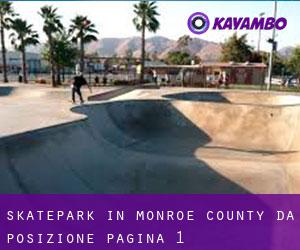 Skatepark in Monroe County da posizione - pagina 1