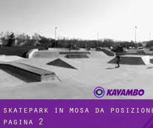 Skatepark in Mosa da posizione - pagina 2