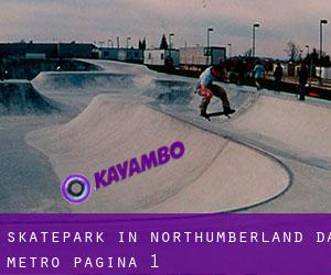 Skatepark in Northumberland da metro - pagina 1