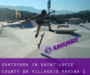 Skatepark in Saint Lucie County da villaggio - pagina 1