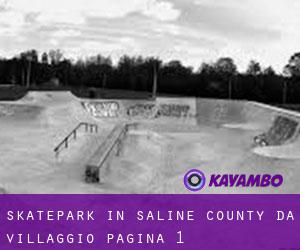 Skatepark in Saline County da villaggio - pagina 1